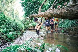 BIB: 
                            <button type="button" onclick="openModal(25477703)" class="btn btn-primary btn-sm float-right btn-popup" data-toggle="modal" data-target=".modal-high-quality">
                        <i class="fas fa-shopping-cart"></i> Add to Cart
                    </button>
                                            <button type="button" onclick="isThisMe(25477703, true)" class="btn btn-success btn-sm float-right btn-popup btn-isme hidden" data-toggle="tooltip" data-placement="bottom" title="นี่คือรูปของคุณใช่ไหม คลิกที่นี่เพื่อเอาเข้าอัลบั้ม">
                        <i class="fas fa-plus"></i> Add to album
                    </button>
                    <button type="button" onclick="isThisMe(25477703, false)" class="btn btn-warning btn-sm float-right btn-popup btn-isnotme hidden">
                        <i class="fas fa-ban"></i> Remove from album
                    </button>